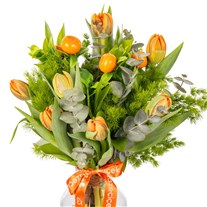 Natural Orange Laleler