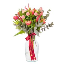 Peach Romance Lale Bloom