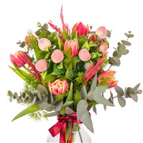 Peach Romance Lale Bloom