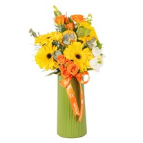 Sunny Crush Mix Gerberalar