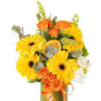 Sunny Crush Mix Gerberalar