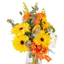 Sunshine Orange Gerberalar