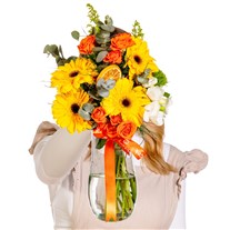 Sunshine Orange Gerberalar