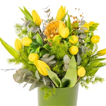 Yellow Zen Minimal Garden Laleler