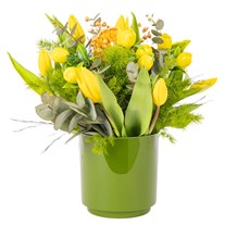 Yellow Zen Minimal Garden Laleler