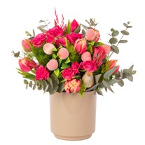 Coral Dream Garden Laleler