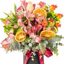 Citrus Pink Punch Astomeryalar
