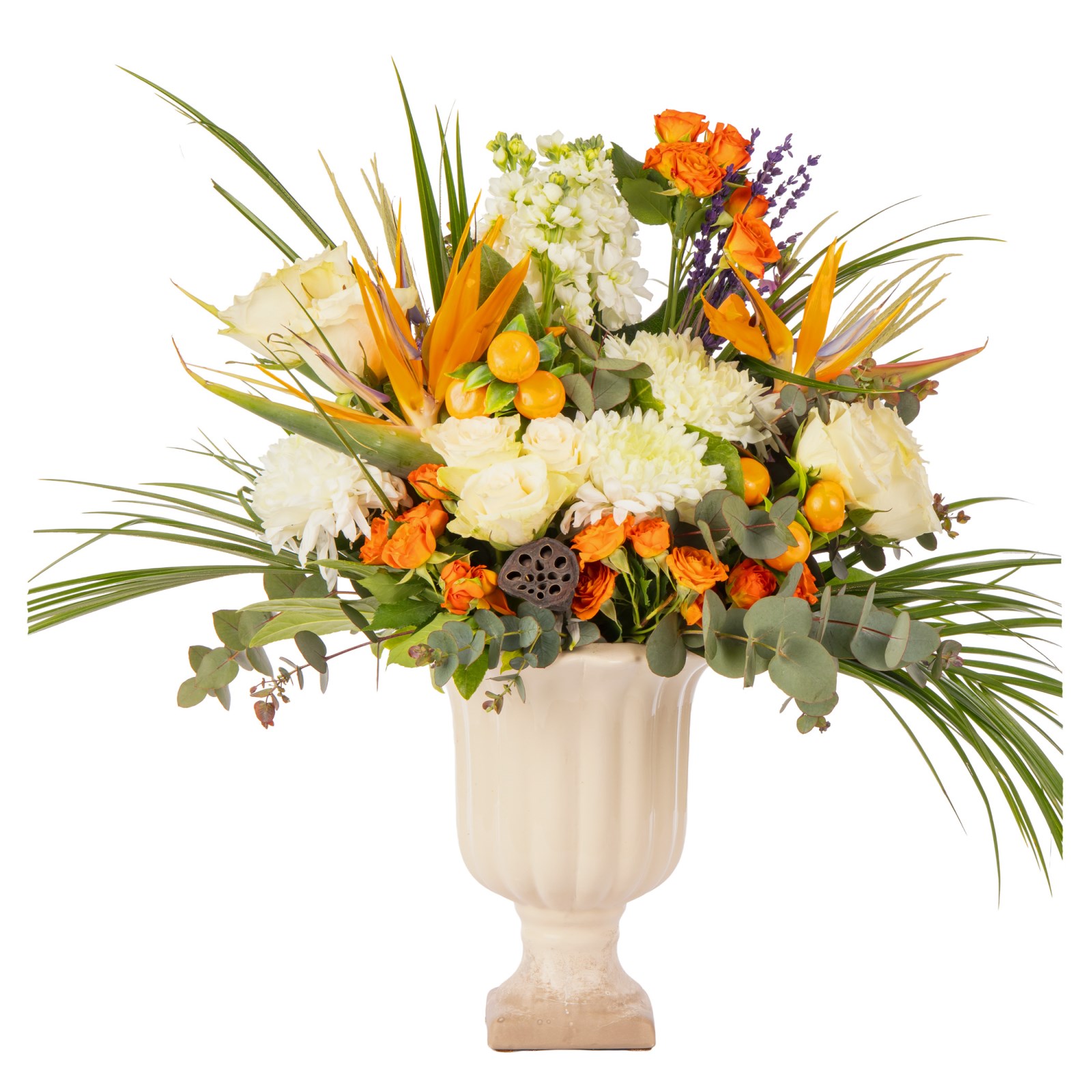 Luxury Citrus Garden Modern Aranjman