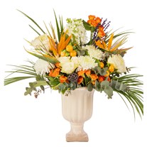 Luxury Citrus Garden Modern Aranjman