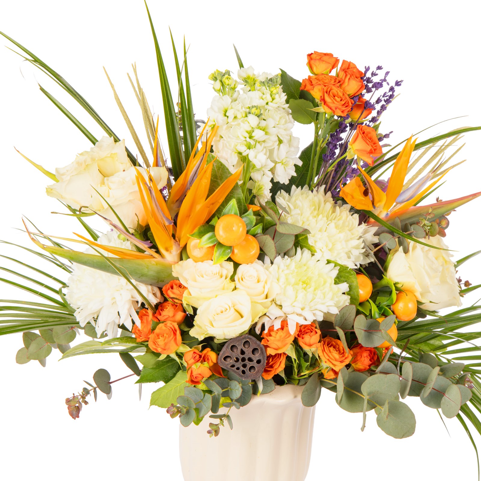 Luxury Citrus Garden Modern Aranjman