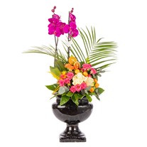 Midnight Orchid Luxury Signature Aranjmanı