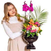 Midnight Orchid Luxury Signature Aranjmanı