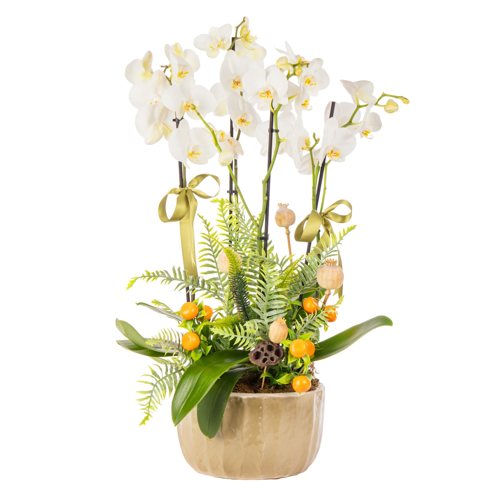 Timeless Orchid Chic Luxury Orkideler