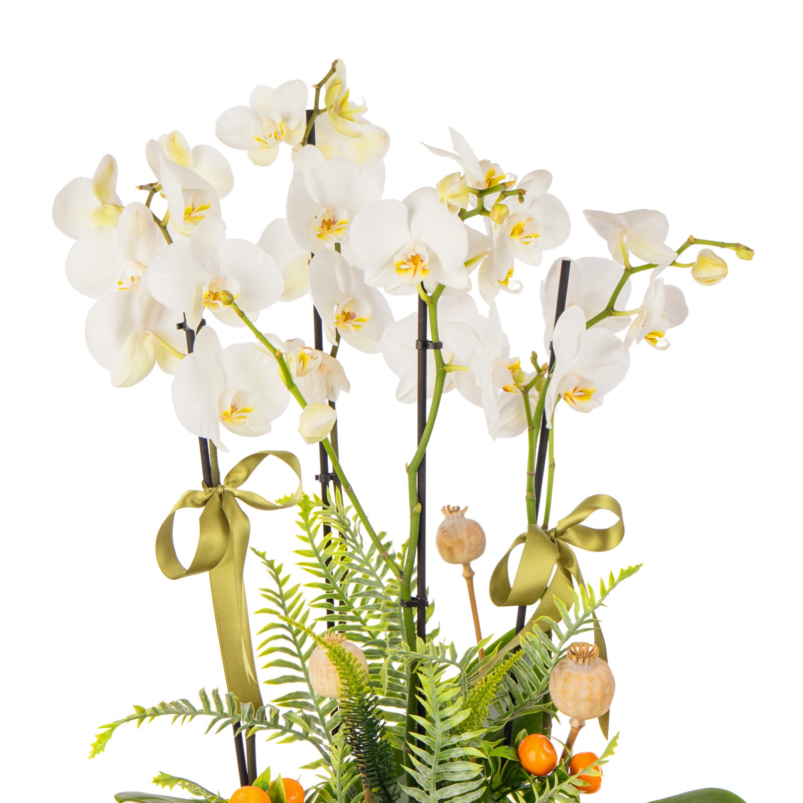 Timeless Orchid Chic Luxury Orkideler