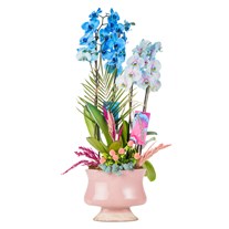 Sky & Pearl Orchid Deluxe Harmony Aranjman