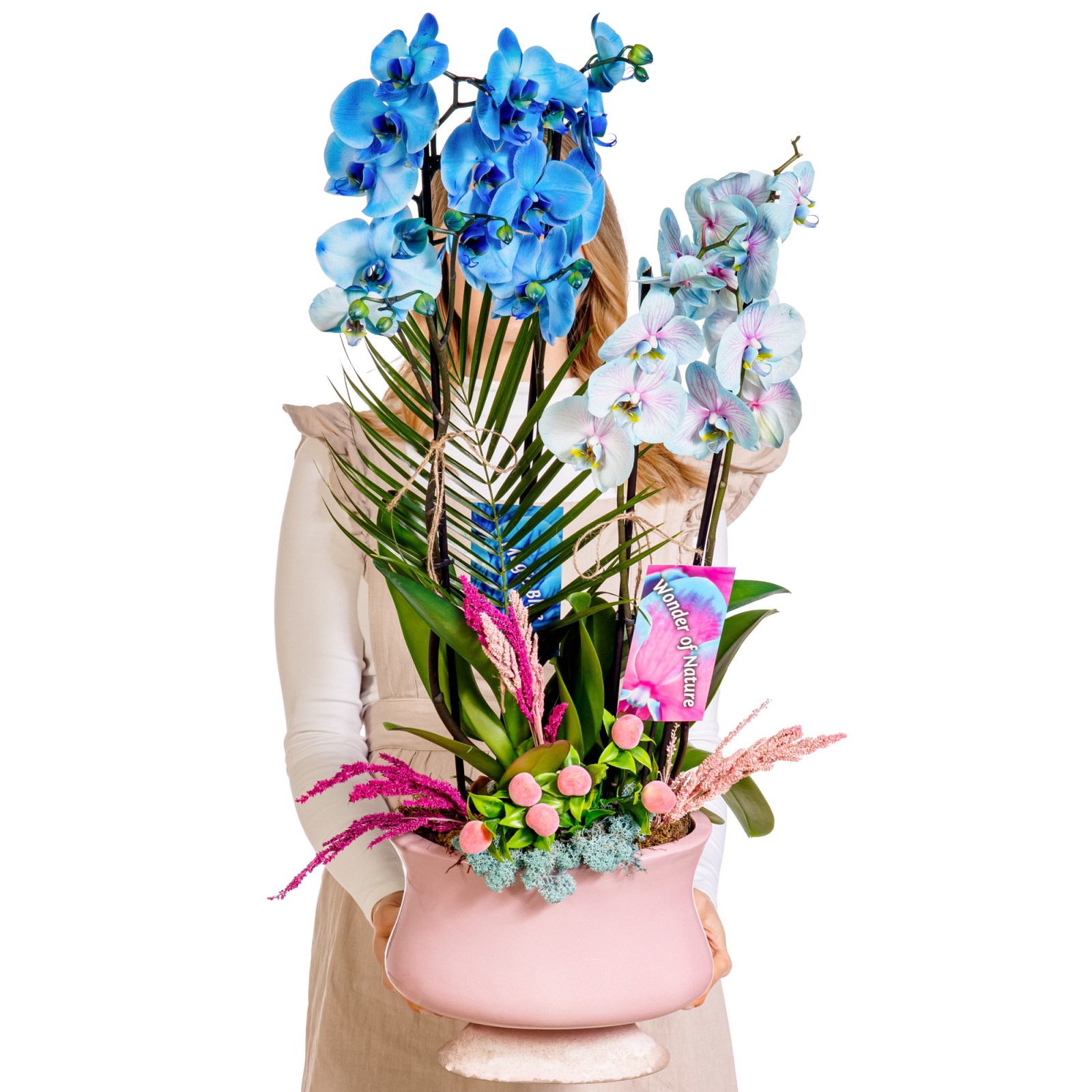 Sky & Pearl Orchid Deluxe Harmony Aranjman
