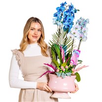 Sky & Pearl Orchid Deluxe Harmony Aranjman