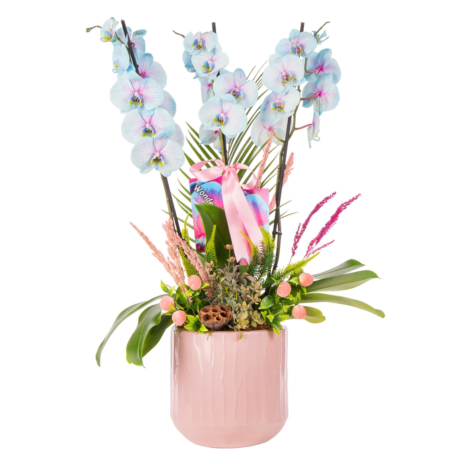Soft Cloud Orchid Premium Elegance