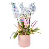 Soft Cloud Orchid Premium Elegance