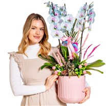 Soft Cloud Orchid Premium Elegance