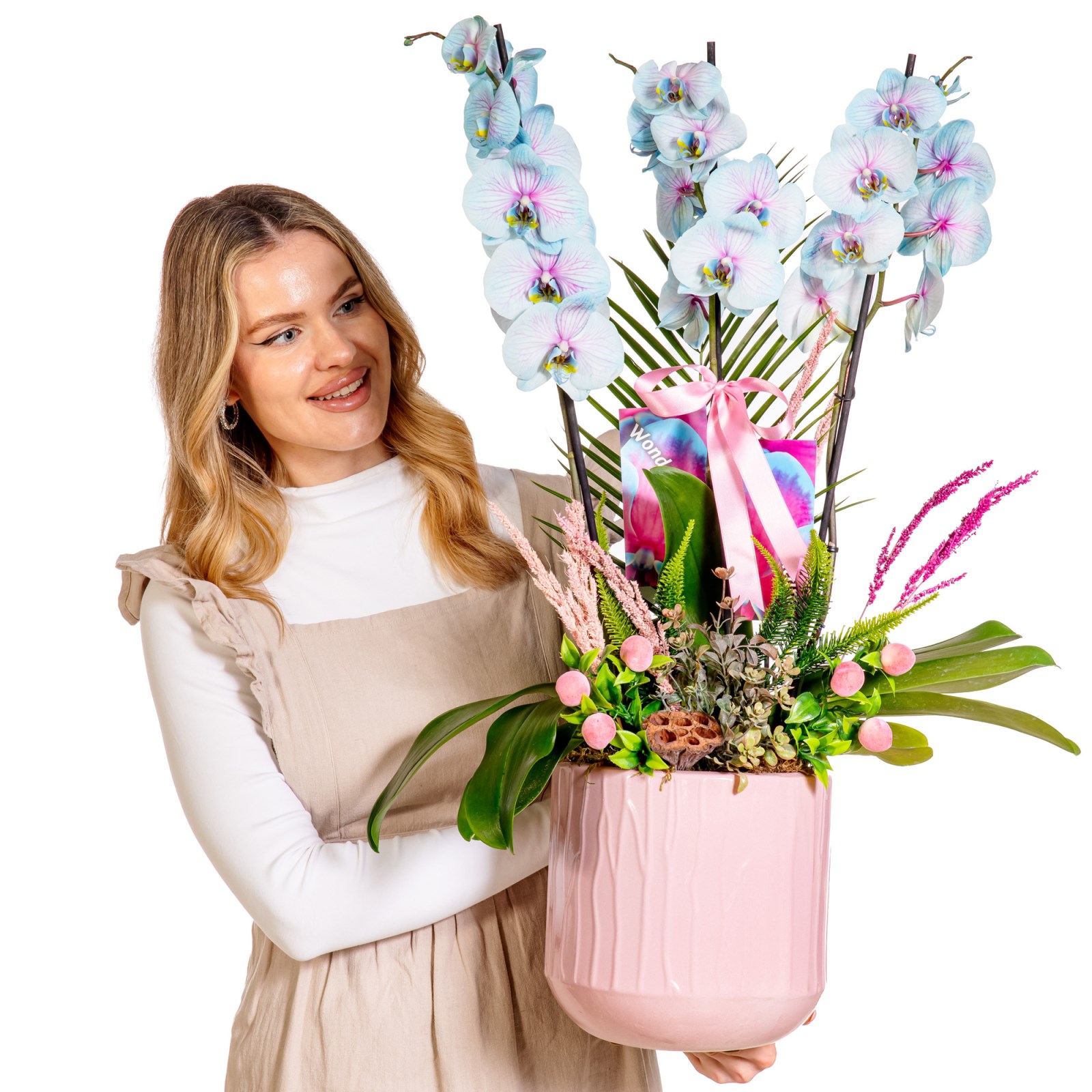 Soft Cloud Orchid Premium Elegance