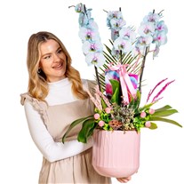 Soft Cloud Orchid Premium Elegance