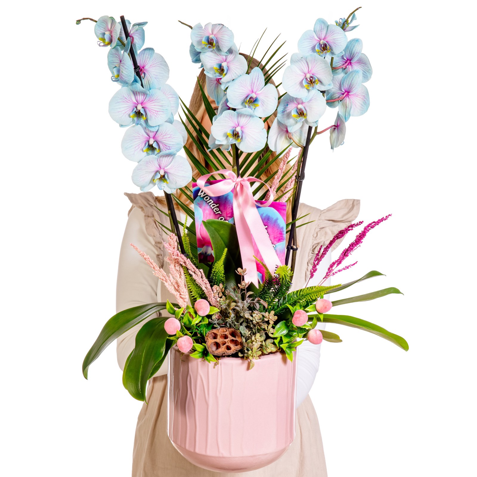 Soft Cloud Orchid Premium Elegance