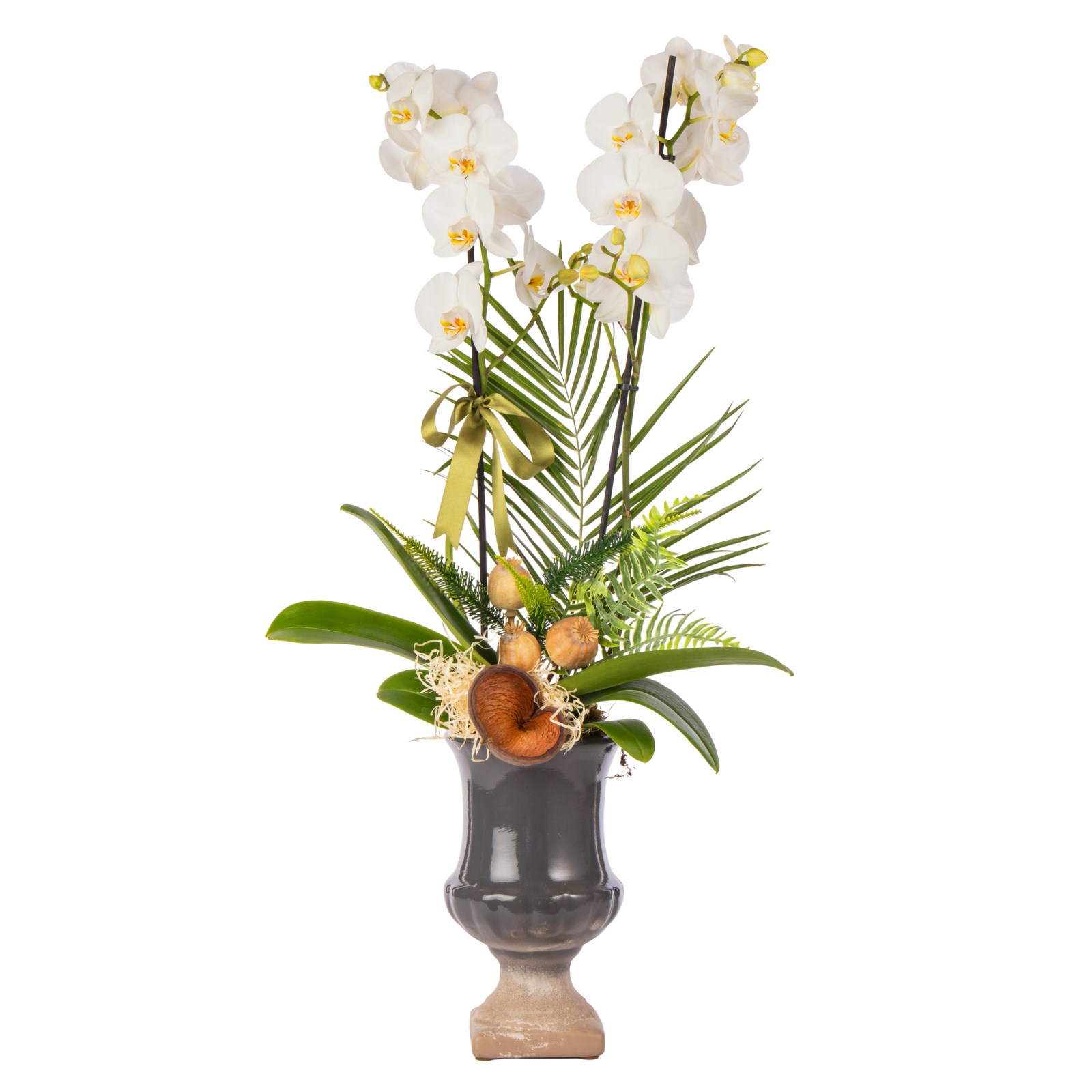 Orchid Noir Classic Signature Vase