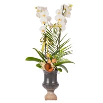 Orchid Noir Classic Signature Vase