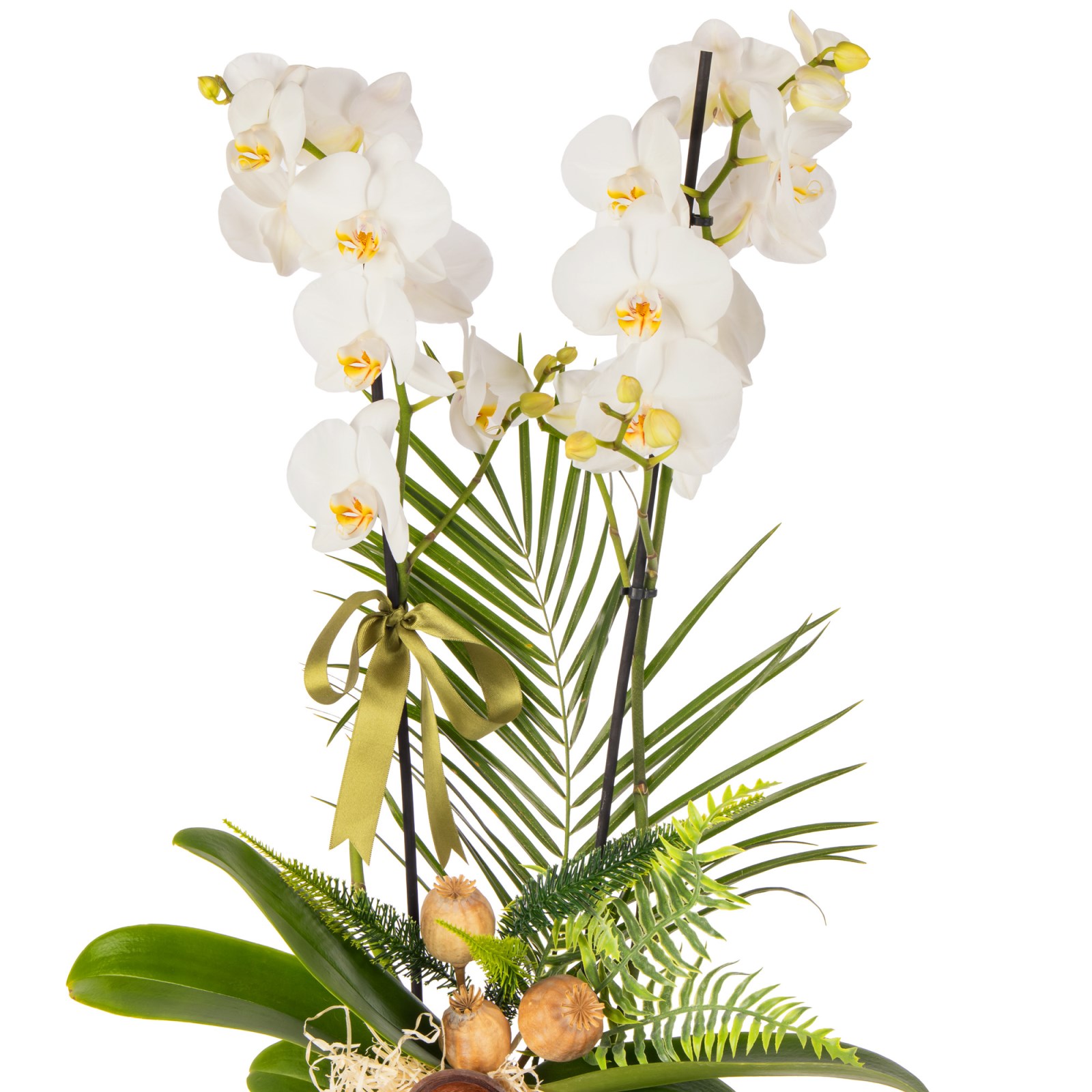 Orchid Noir Classic Signature Vase
