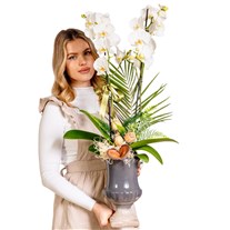 Orchid Noir Classic Signature Vase