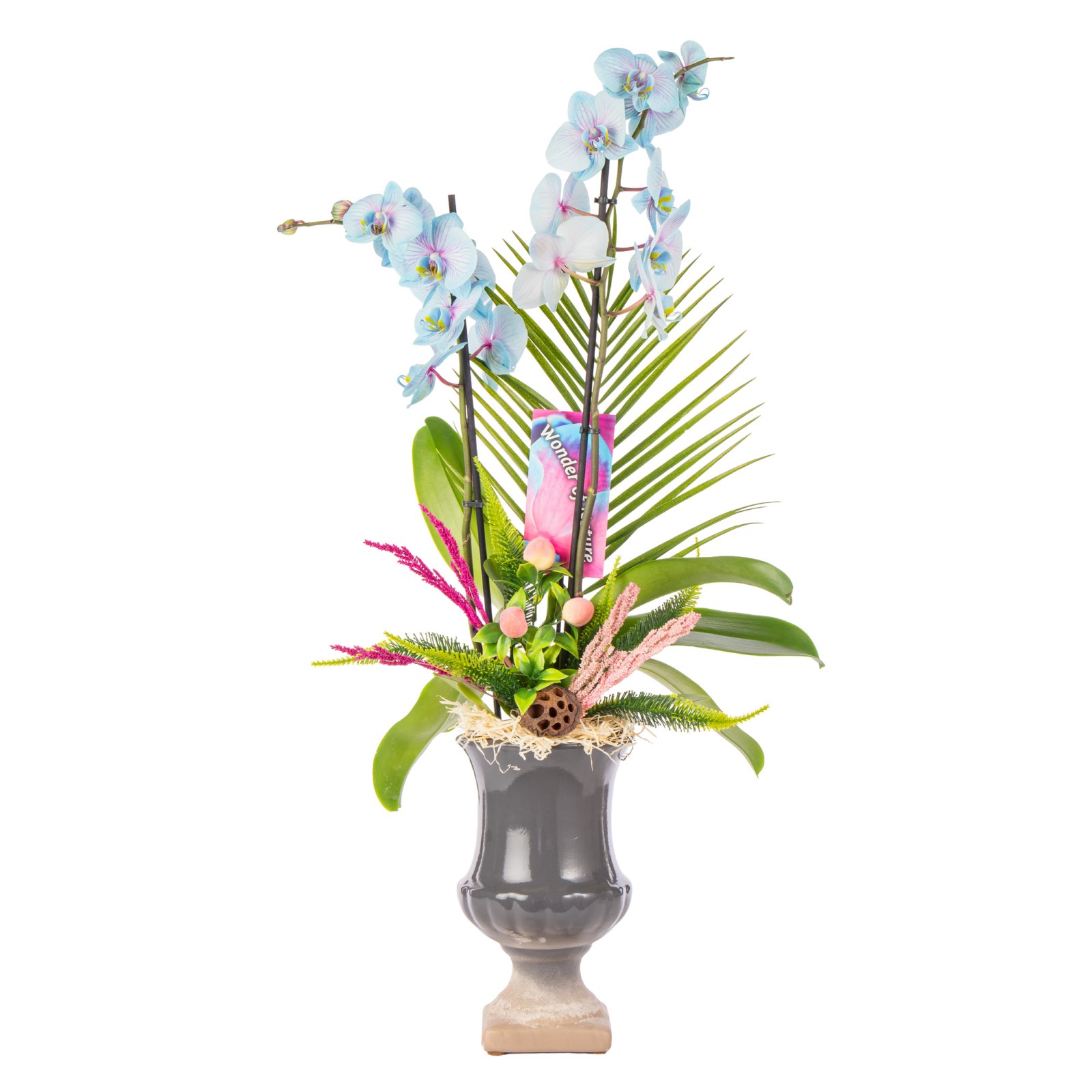 Delicate Sky Orchid Chic Vase Aranjman