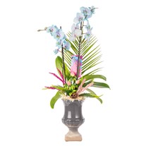 Delicate Sky Orchid Chic Vase Aranjman