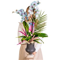 Delicate Sky Orchid Chic Vase Aranjman
