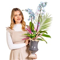 Delicate Sky Orchid Chic Vase Aranjman