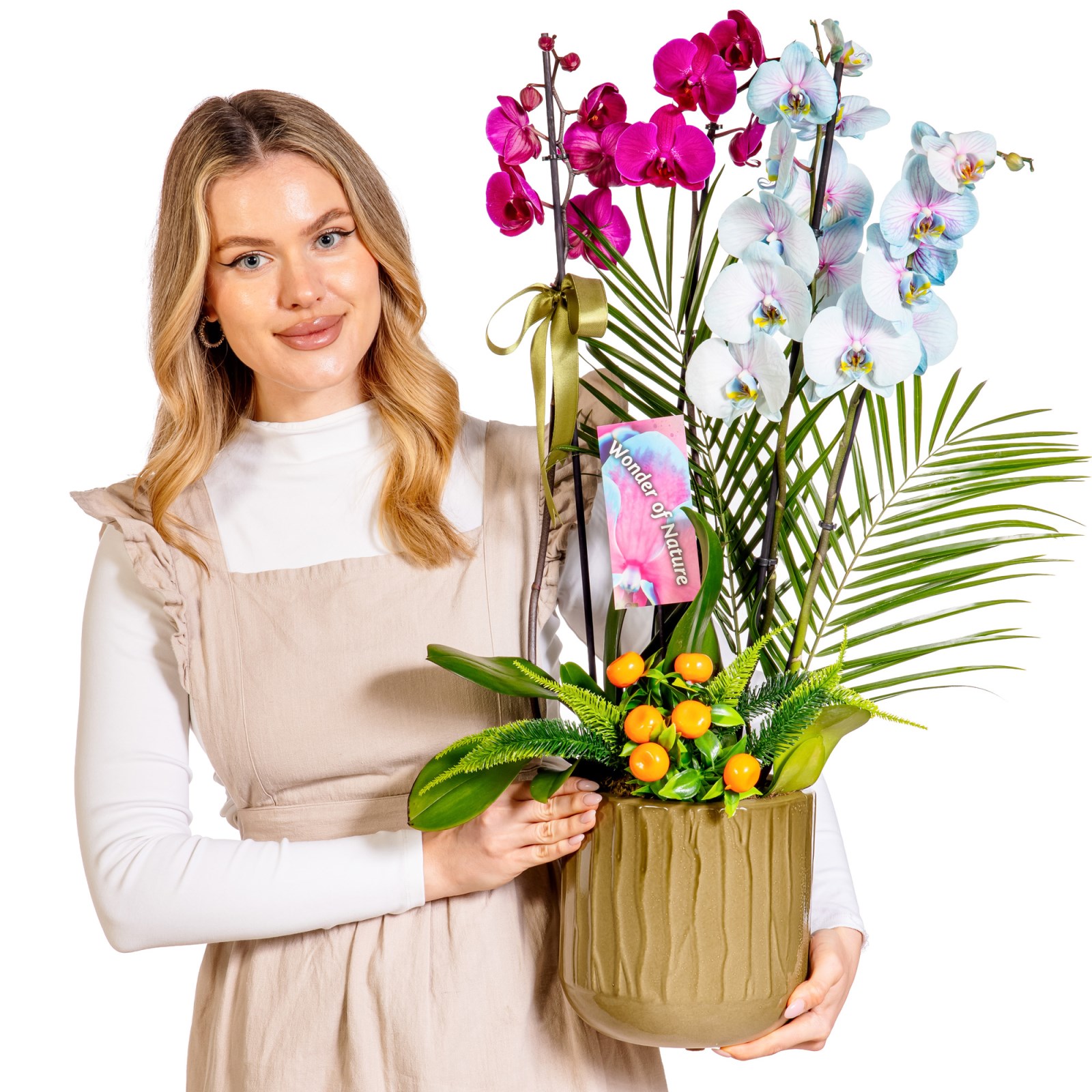 Color Fusion Orchid Premium Collection