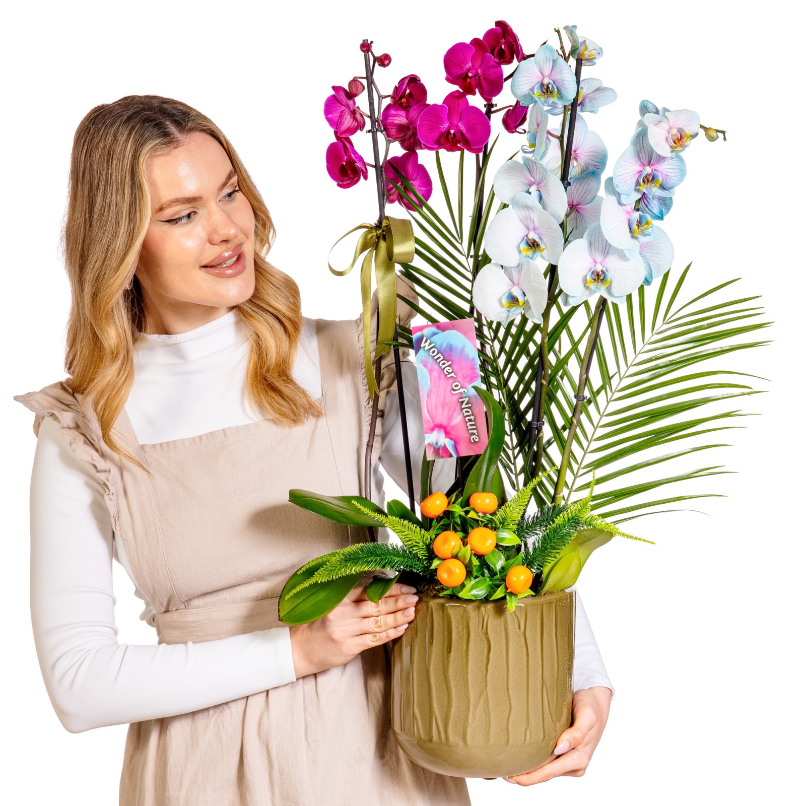 Color Fusion Orchid Premium Collection