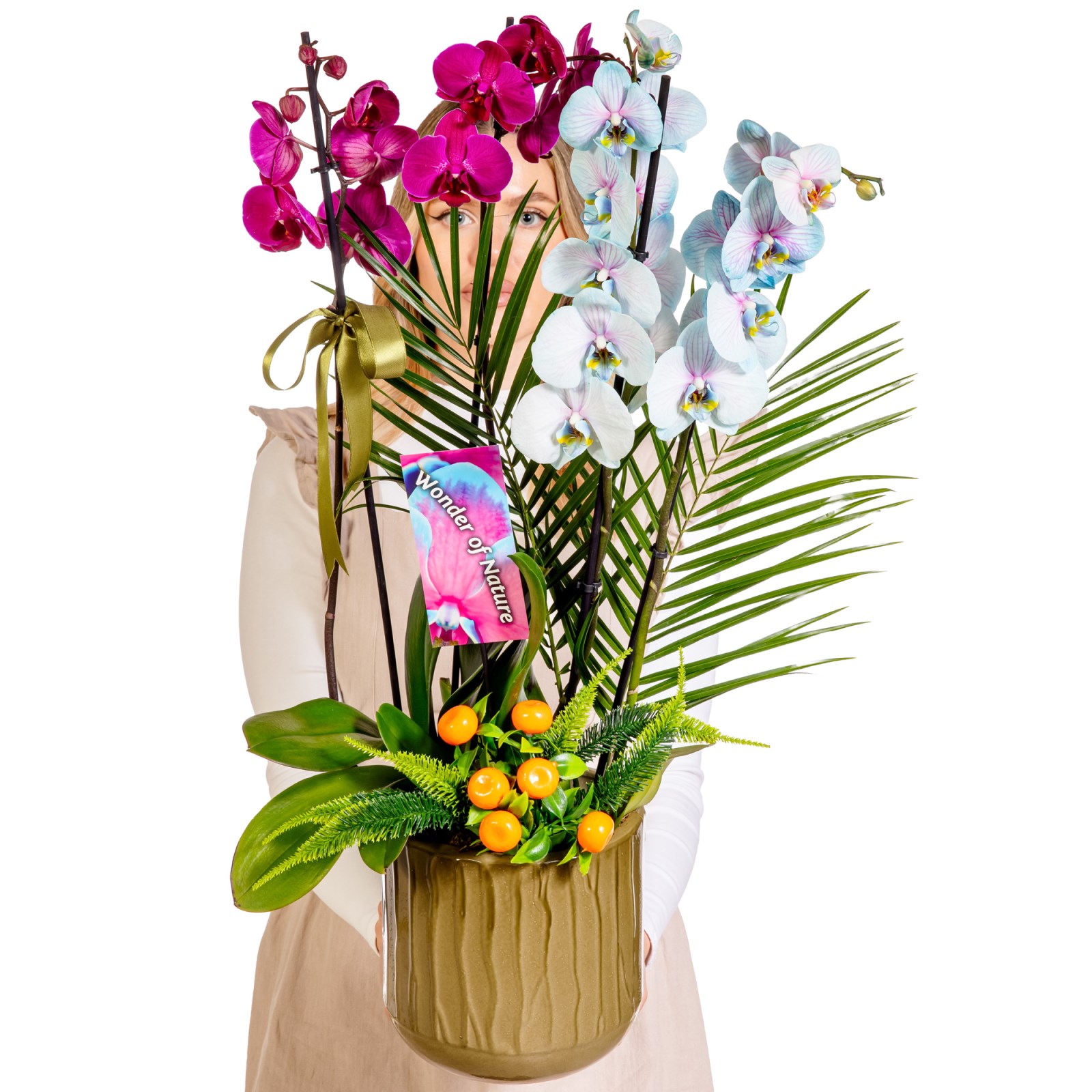 Color Fusion Orchid Premium Collection