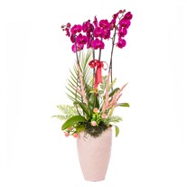 Love Statement Orchid Luxury Design