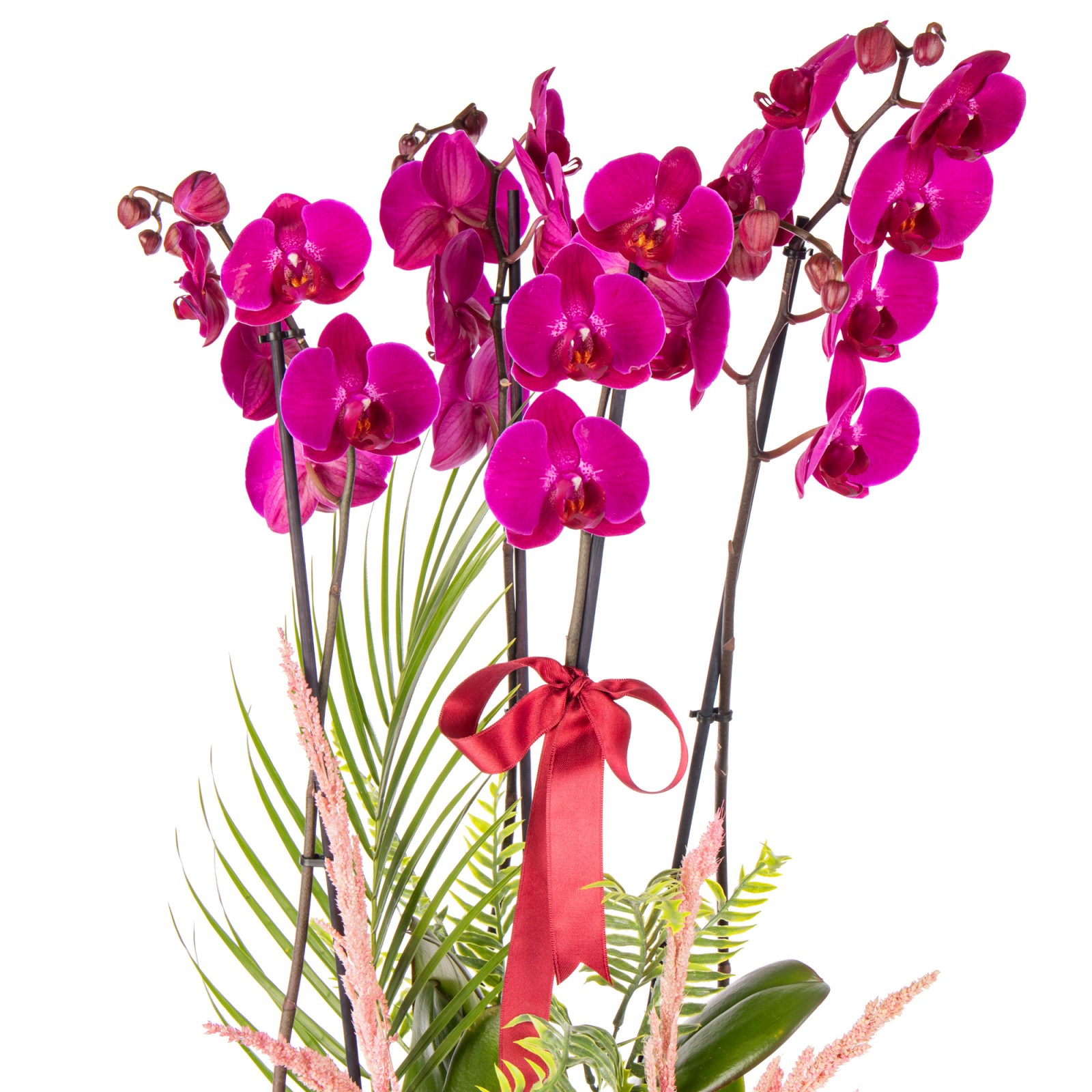 Love Statement Orchid Luxury Design