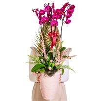 Love Statement Orchid Luxury Design