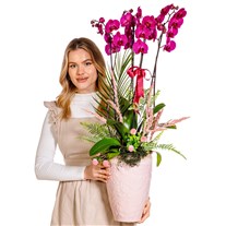 Love Statement Orchid Luxury Design