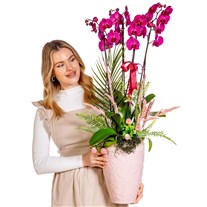 Love Statement Orchid Luxury Design
