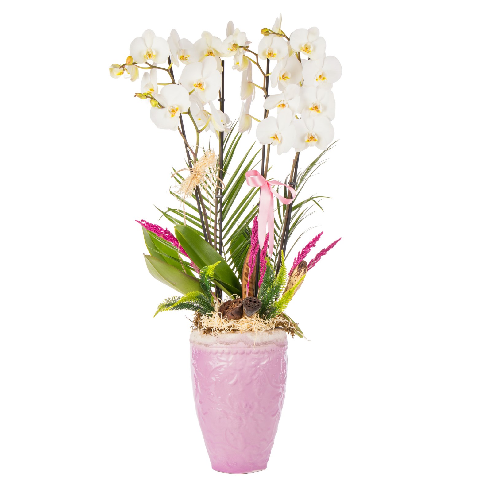 Imperial White Orchid Deluxe Collection
