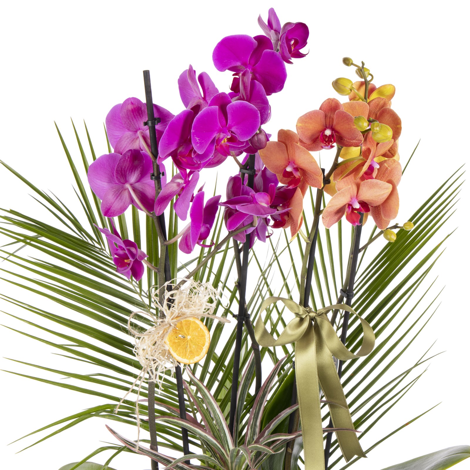 Sunset Basket Luxury Orkide