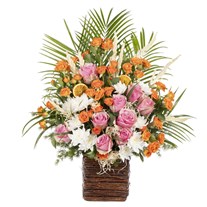 Peachy Dream Premium Aranjman