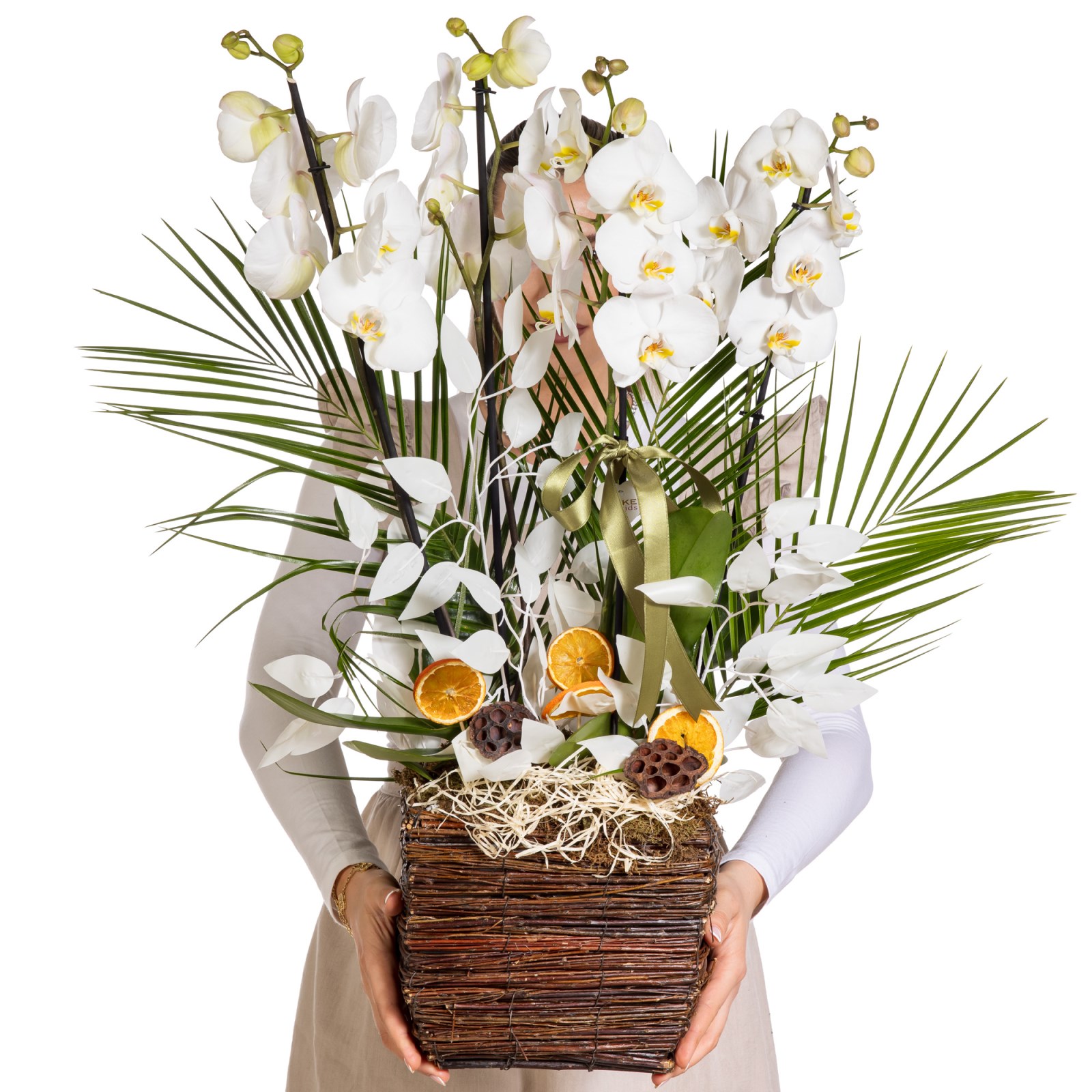 Orchid Aura Designer Collection