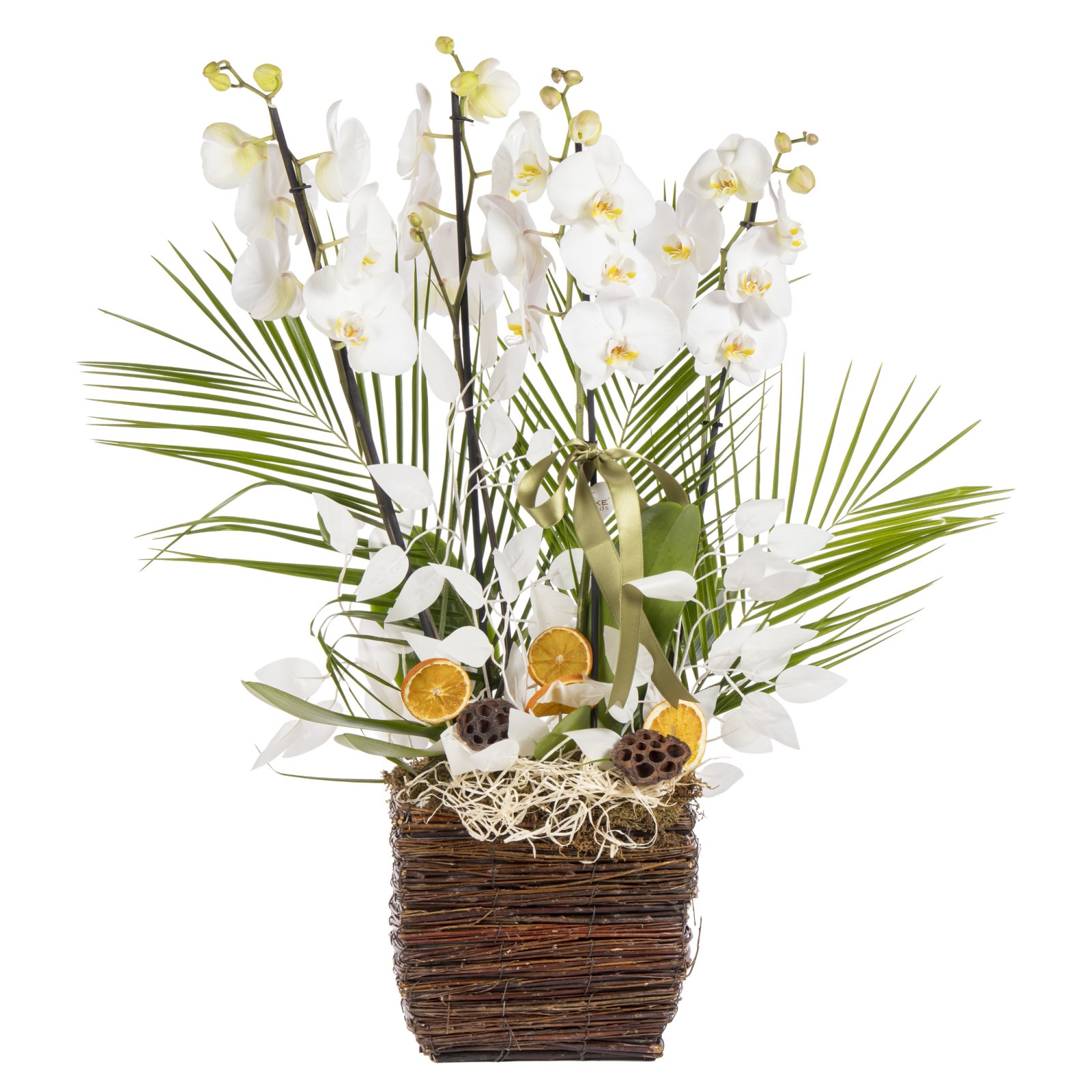 Orchid Aura Designer Collection