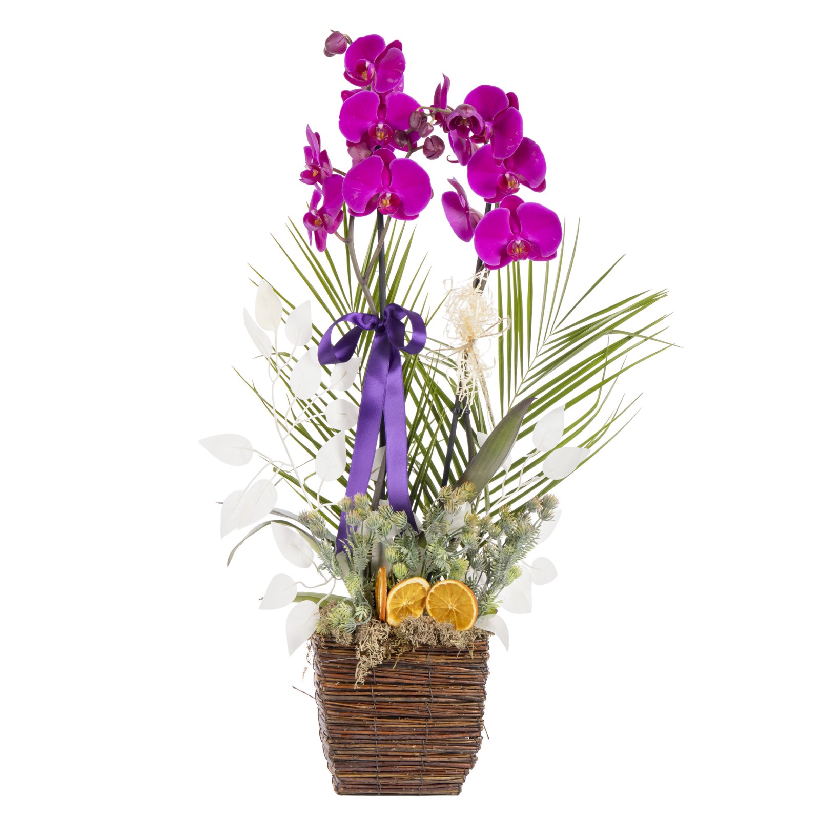 Royal Bloom Orchid Luxury Edition