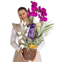 Royal Bloom Orchid Luxury Edition
